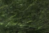 Polished Canadian Jade (Nephrite) Slab - British Colombia #112739-1